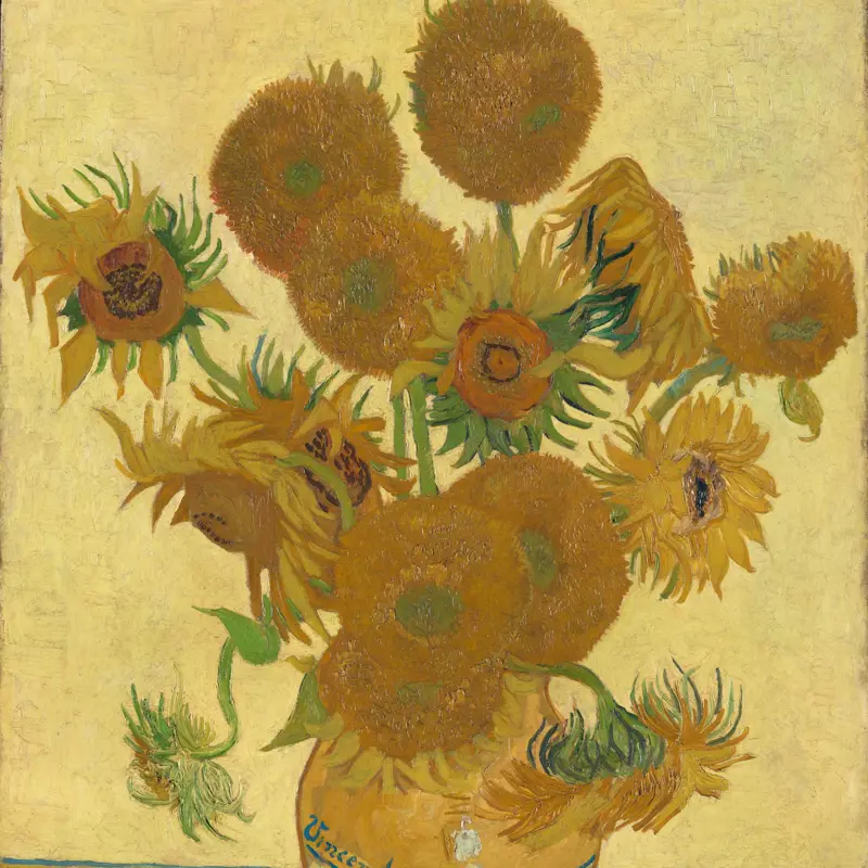 Sunflowers
